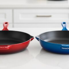 Lodge Enameled Cast Iron Skillet vs Tramontina Enameled Cast Iron Skillet Complete Comparison Guide